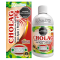Cholag Jarabe X 400 ML